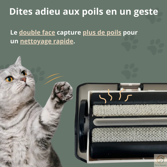 CleanRoll™・Rouleau anti-poils réutilisable