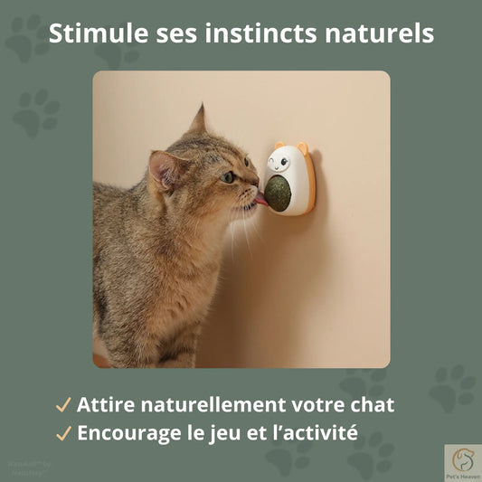NatuRoll™・Boule rotative d'herbe à chat Pet's Heaven