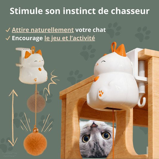 PurrFlow™・Jouet interactif automatique pour chat Pet's Heaven