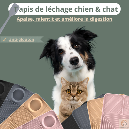 CalmLick™・Tapis de léchage anti-glouton & anti-stress