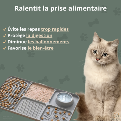CalmLick™・Tapis de léchage anti-glouton & anti-stress
