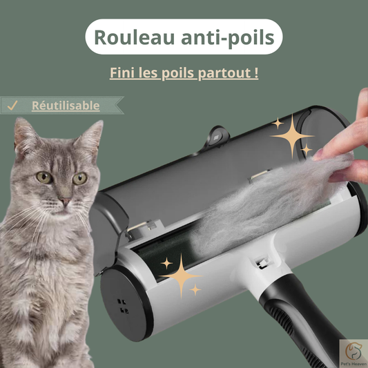 CleanRoll™・Rouleau anti-poils réutilisable