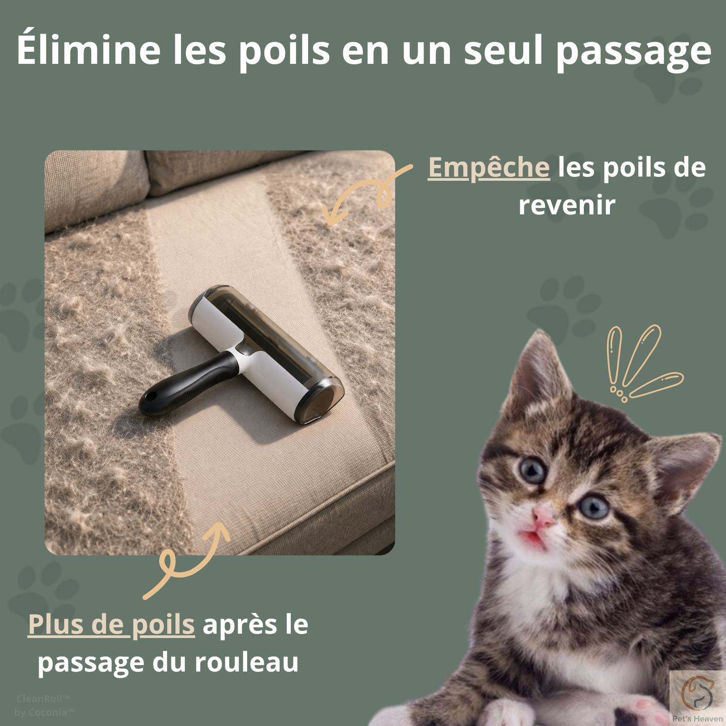 CleanRoll™・Rouleau anti-poils réutilisable