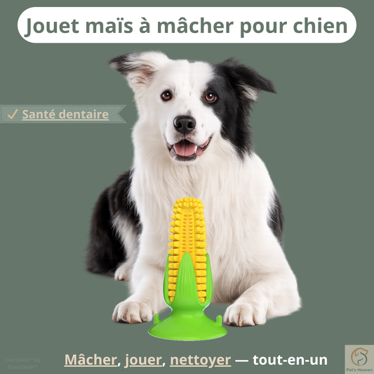 CornStick™・Jouet maïs à mâcher pour chien