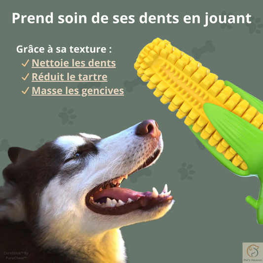 CornStick™・Jouet maïs à mâcher pour chien