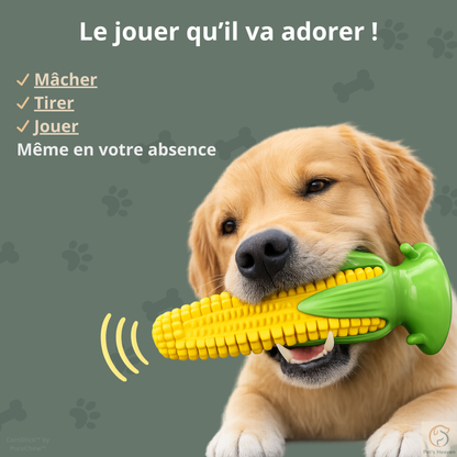 CornStick™・Jouet maïs à mâcher pour chien