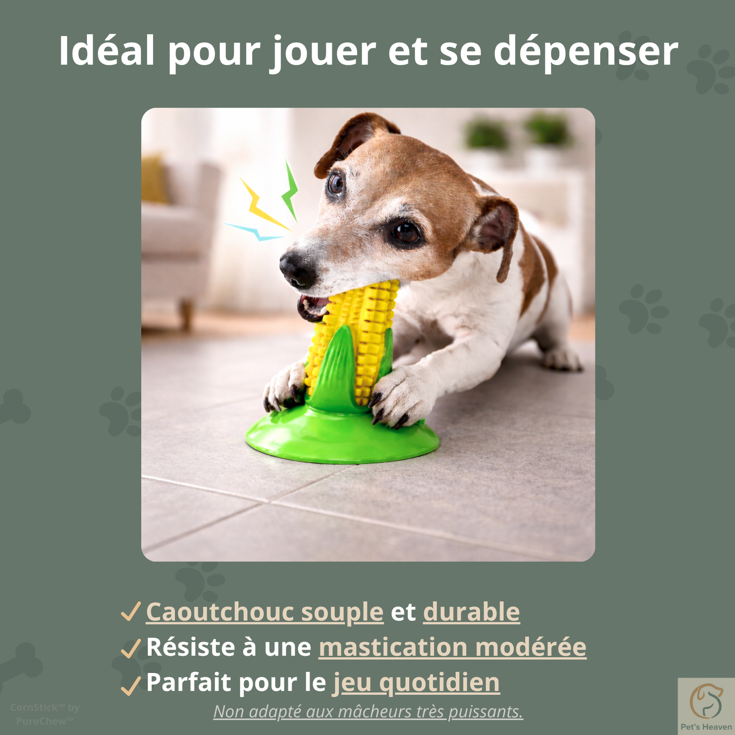 CornStick™・Jouet maïs à mâcher pour chien