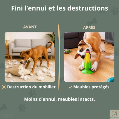 CornStick™・Jouet maïs à mâcher pour chien