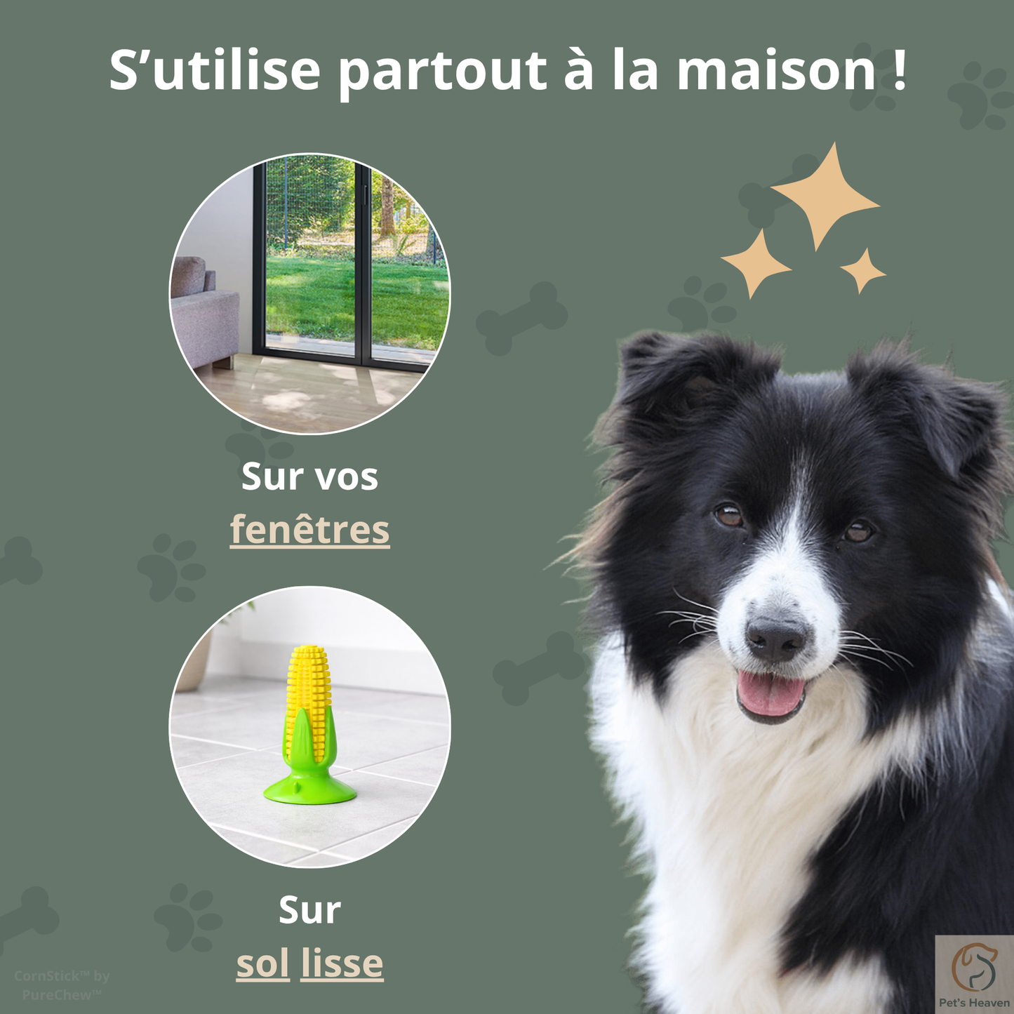 CornStick™・Jouet maïs à mâcher pour chien