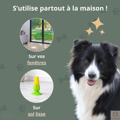 CornStick™・Jouet maïs à mâcher pour chien