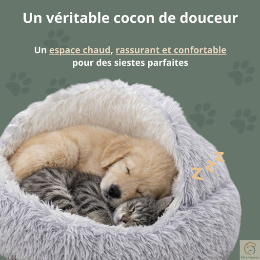HaloNest™・Panier semi-couvert confortable pour chats et chiens