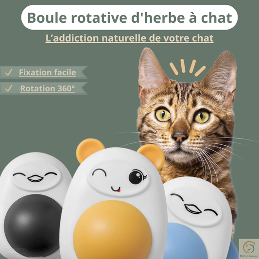 NatuRoll™・Boule rotative d'herbe à chat