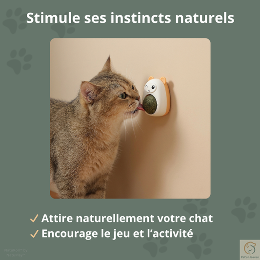 NatuRoll™・Boule rotative d'herbe à chat