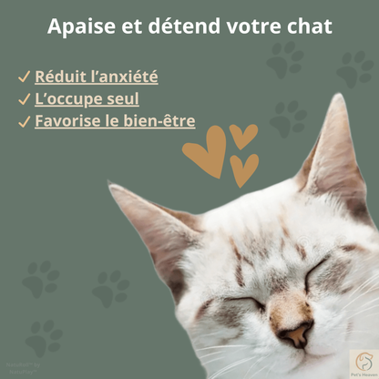 NatuRoll™・Boule rotative d'herbe à chat