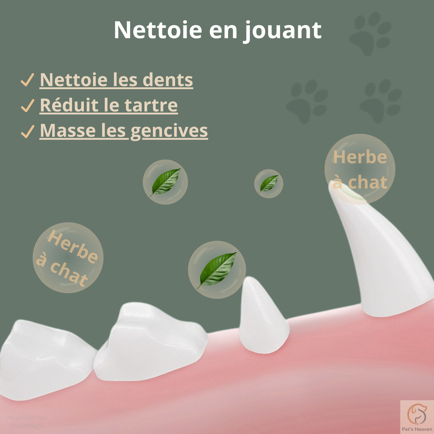 NatuRoll™・Boule rotative d'herbe à chat