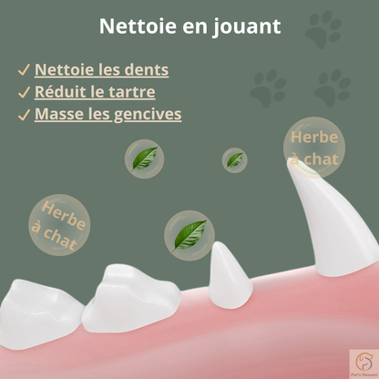 NatuRoll™・Boule rotative d'herbe à chat