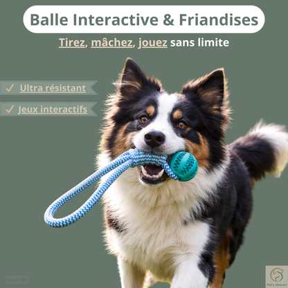 Pawzzle™・Balle Interactive & Friandises pour Chien