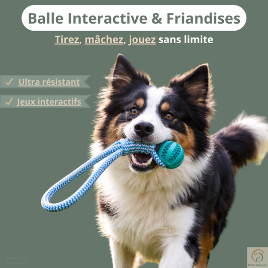 Pawzzle™・Balle Interactive & Friandises pour Chien