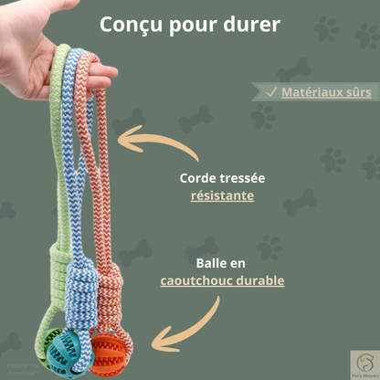 Pawzzle™・Balle Interactive & Friandises pour Chien