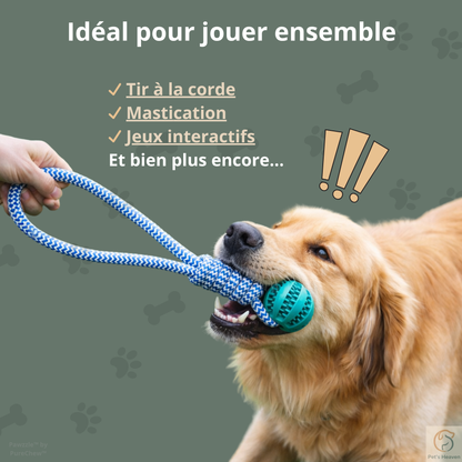 Pawzzle™・Balle Interactive & Friandises pour Chien