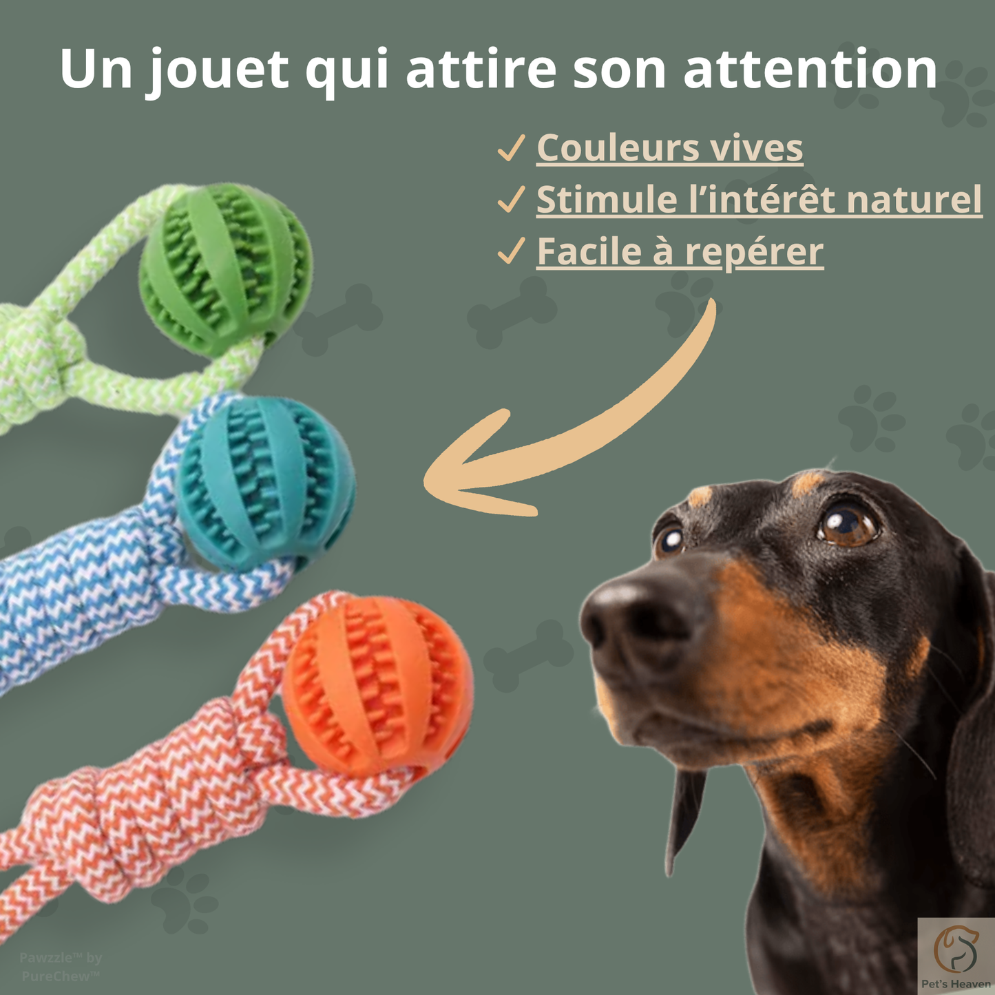 Pawzzle™・Balle Interactive & Friandises pour Chien
