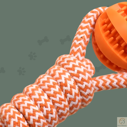 Pawzzle™・Balle Interactive & Friandises pour Chien