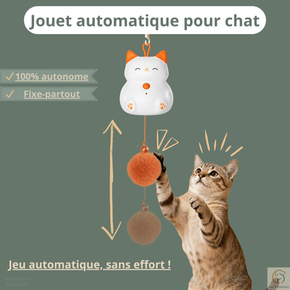 PurrFlow™・Jouet interactif automatique pour chat
