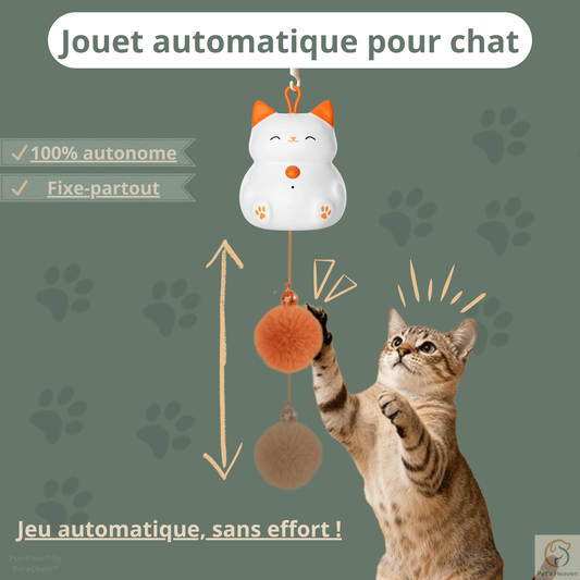 PurrFlow™・Jouet interactif automatique pour chat