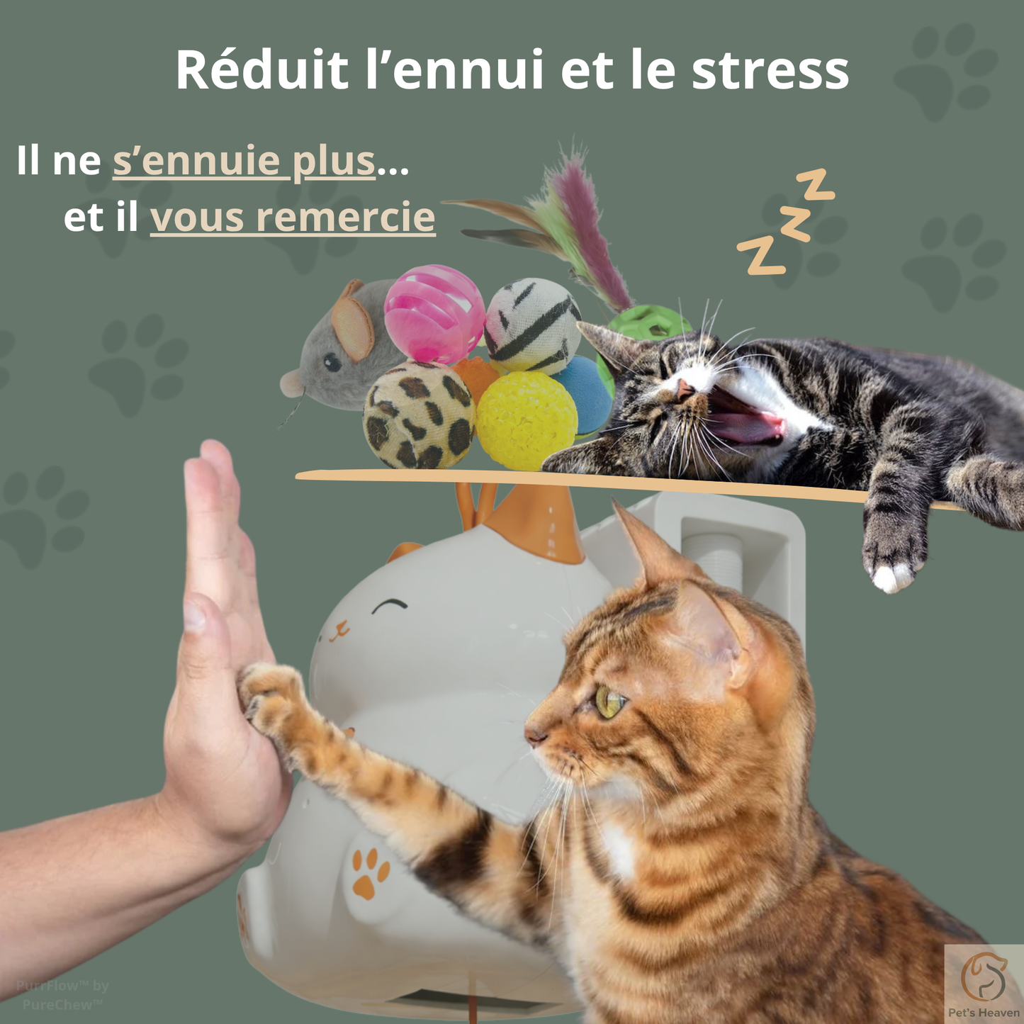 PurrFlow™・Jouet interactif automatique pour chat