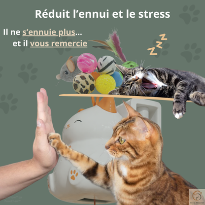 PurrFlow™・Jouet interactif automatique pour chat