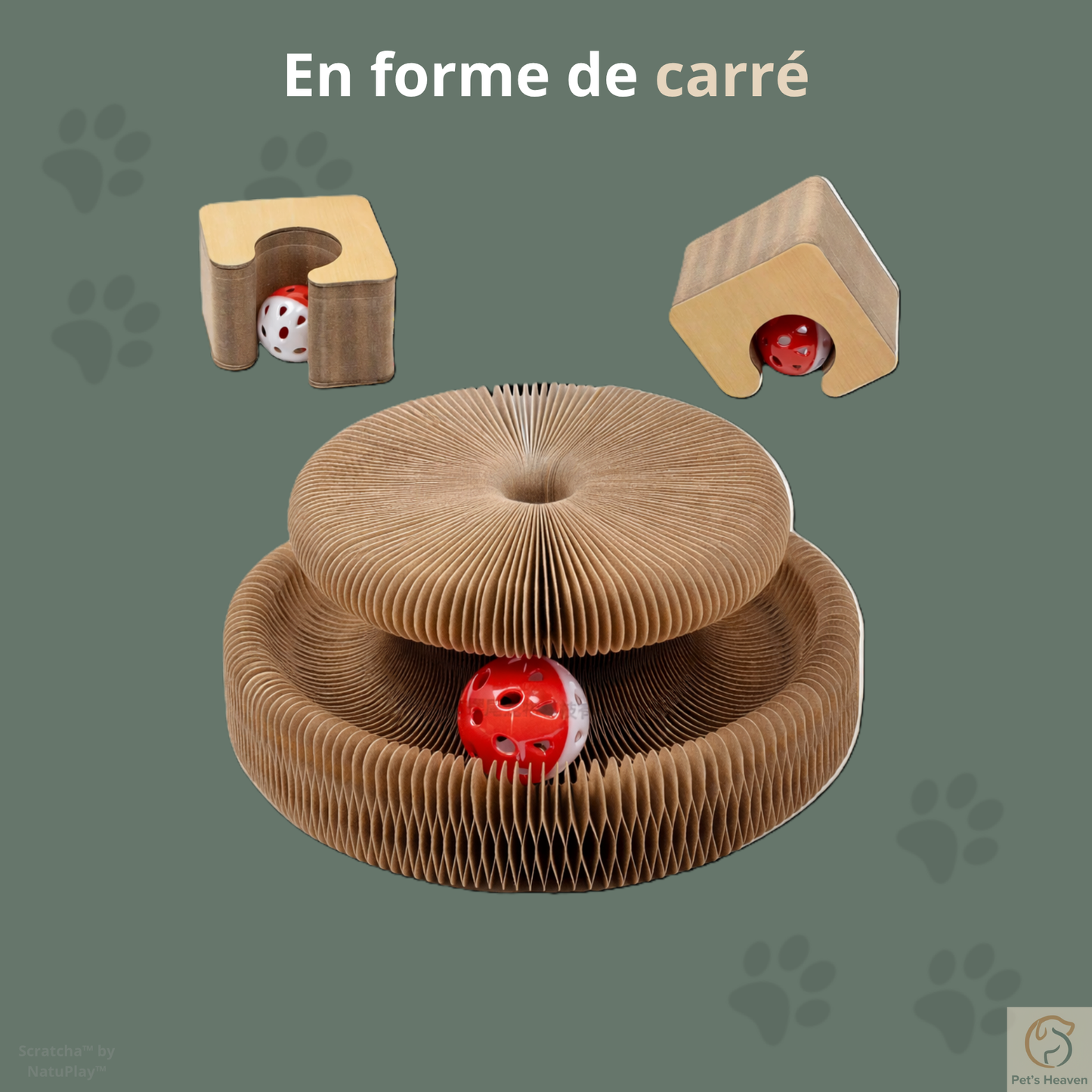 Scratcha™・Griffoir interactif & écologique pour chat