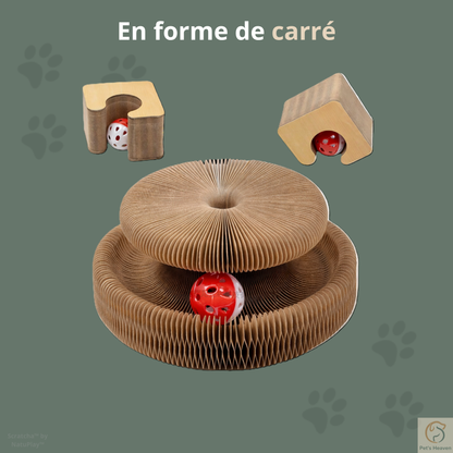 Scratcha™・Griffoir interactif & écologique pour chat