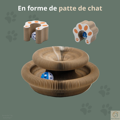 Scratcha™・Griffoir interactif & écologique pour chat