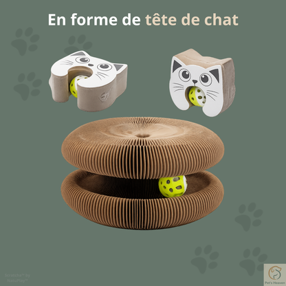 Scratcha™・Griffoir interactif & écologique pour chat