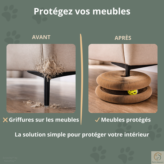 Scratcha™・Griffoir interactif & écologique pour chat