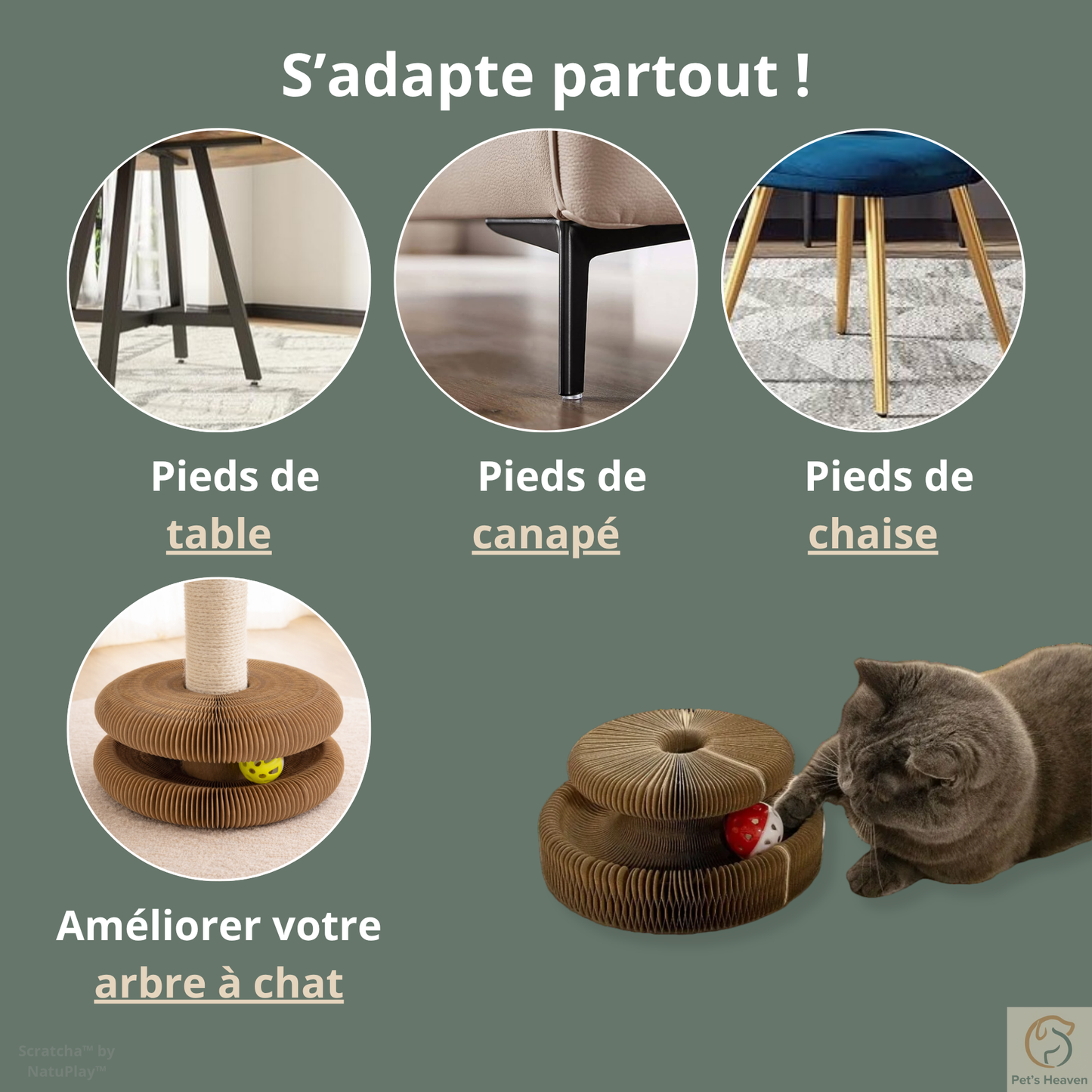 Scratcha™・Griffoir interactif & écologique pour chat