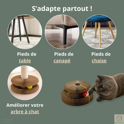 Scratcha™・Griffoir interactif & écologique pour chat