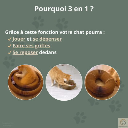 Scratcha™・Griffoir interactif & écologique pour chat