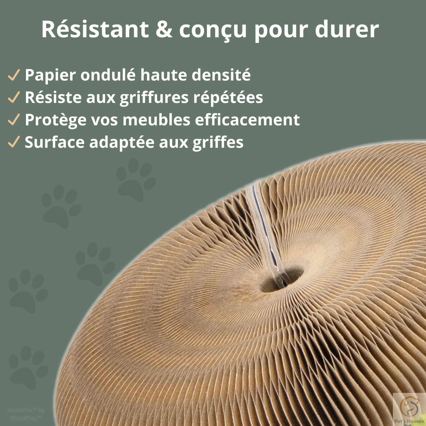 Scratcha™・Griffoir interactif & écologique pour chat