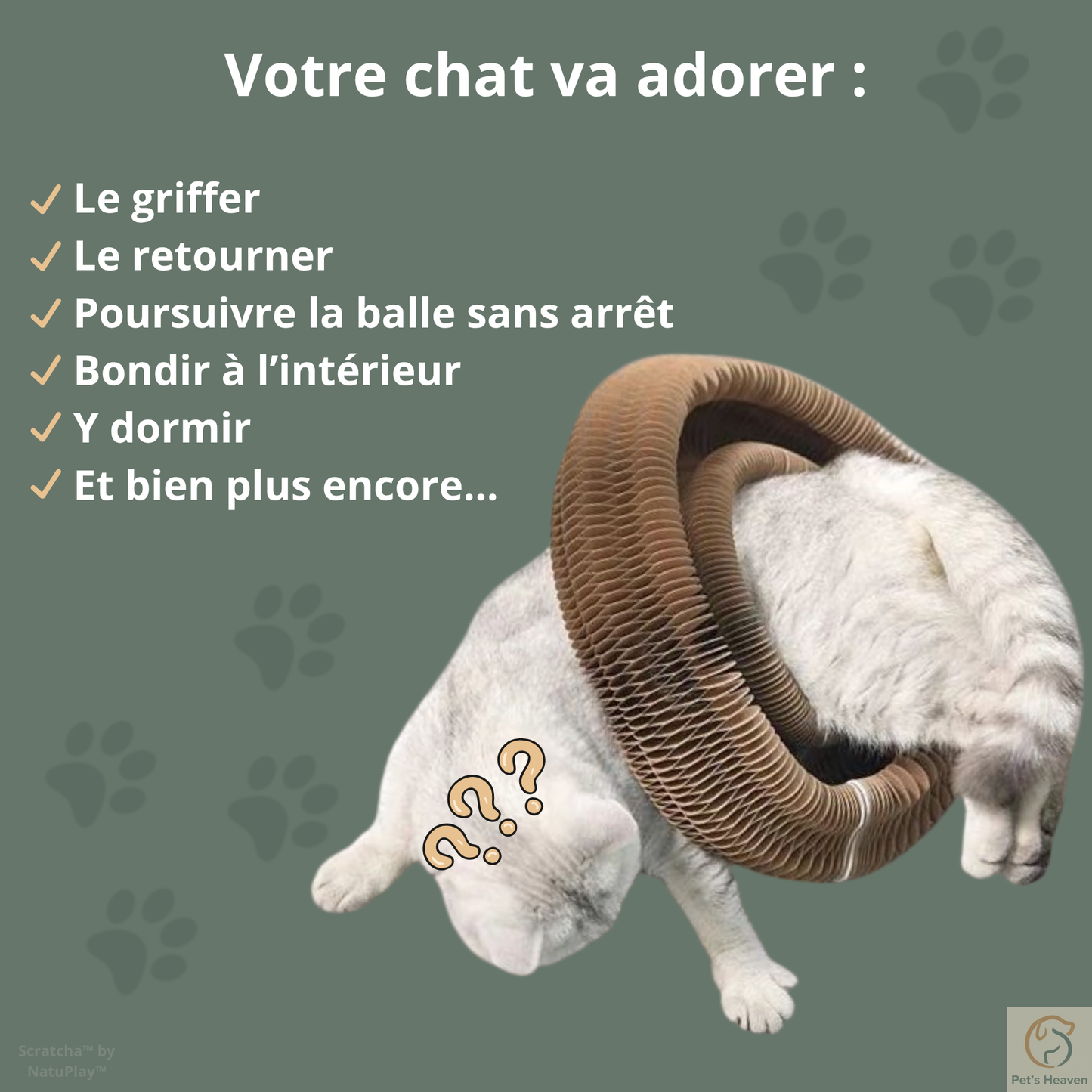 Scratcha™・Griffoir interactif & écologique pour chat