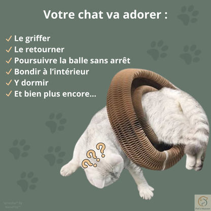 Scratcha™・Griffoir interactif & écologique pour chat