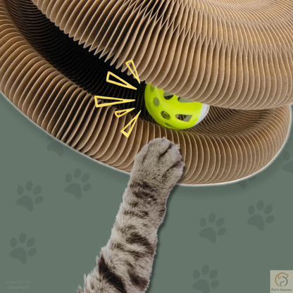 Scratcha™・Griffoir interactif & écologique pour chat